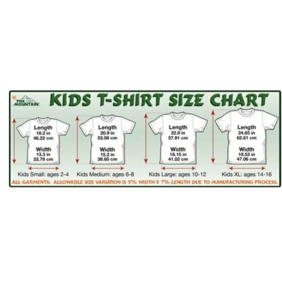 The Mountain Charging Triceratops Dinosaur Reptile Triassic Kids T-Shirt L-XL - Picture 3 of 4